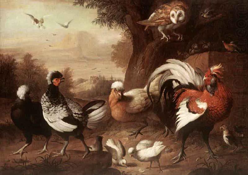 Jakob Bogdani Fowls and Owl china oil painting image